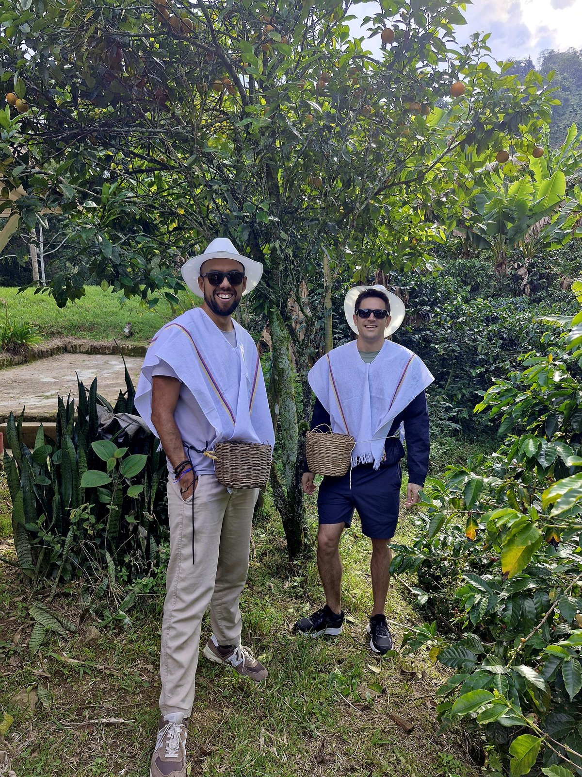 A Working Coffee Farm