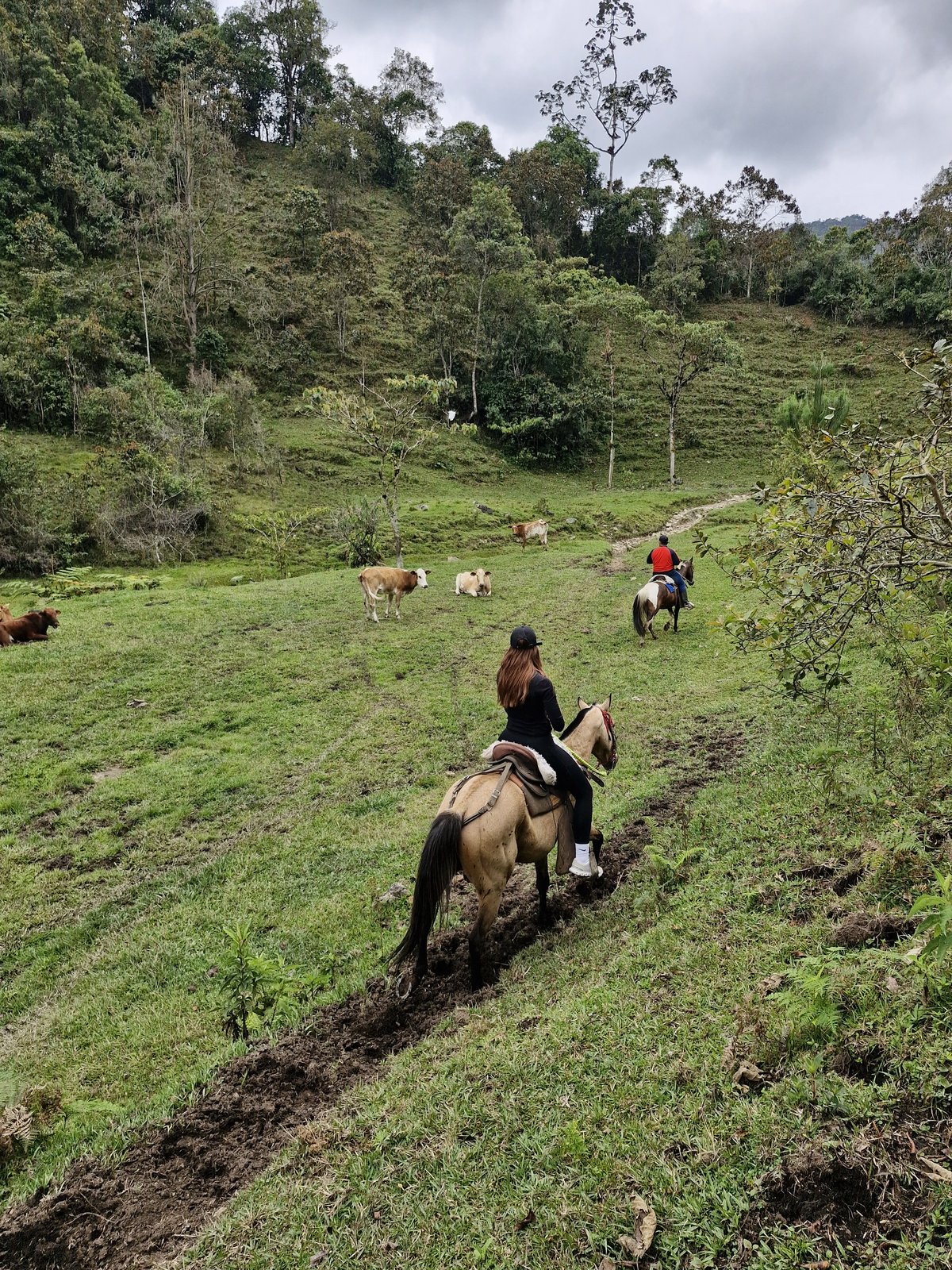 Horseback Riding in the Valley — view 2