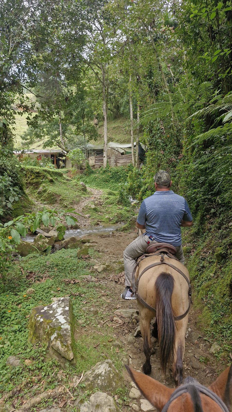 Horseback Riding in the Valley — view 4