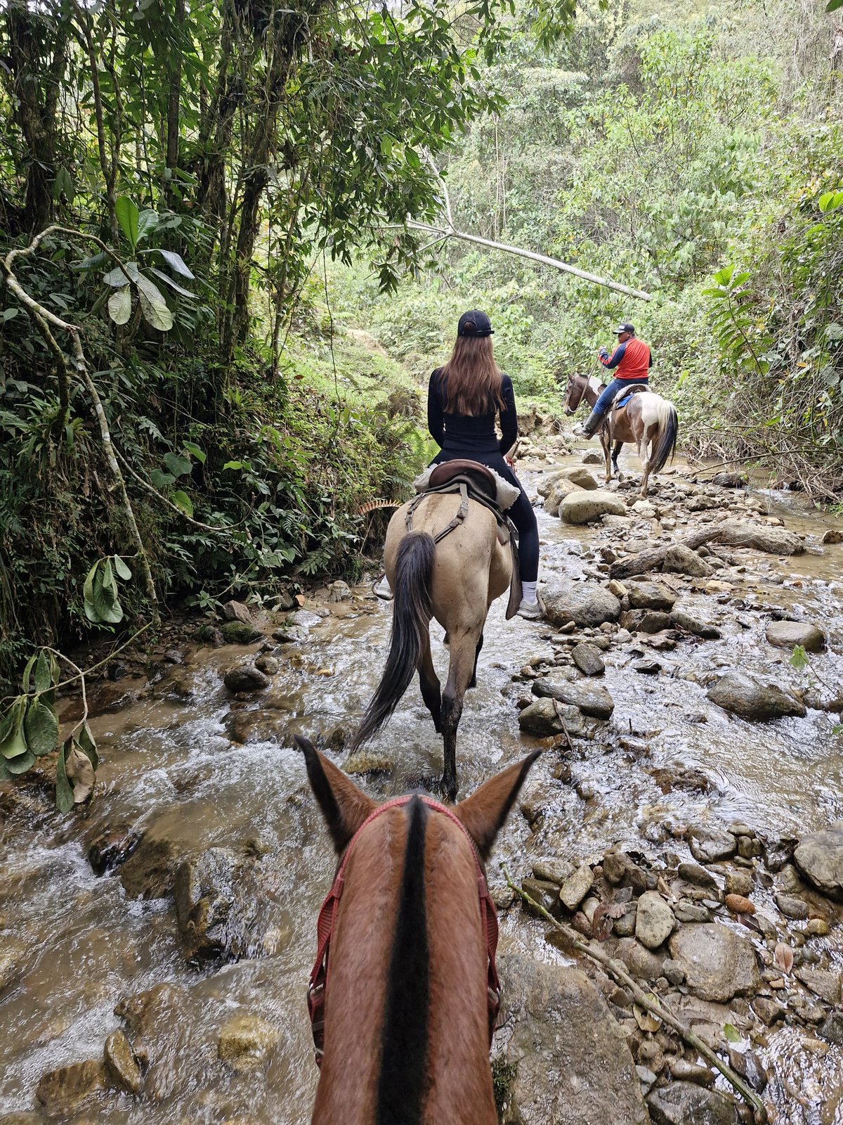 Horseback Riding in the Valley
